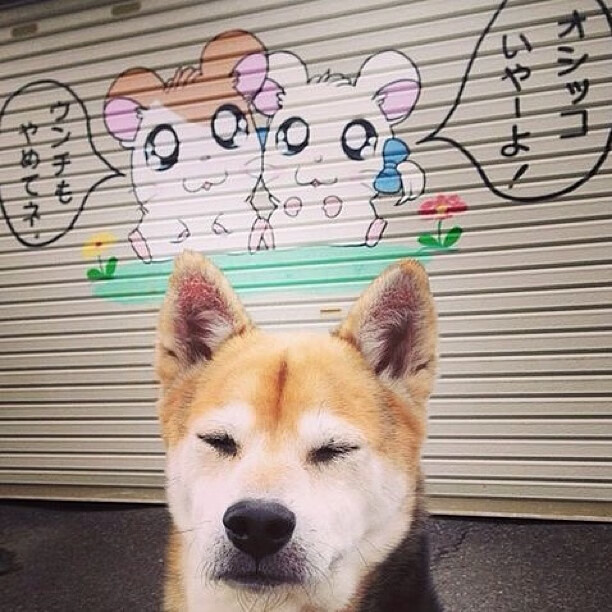 世界排名争夺战之夜，保罗关键节点连续得分锁定胜局