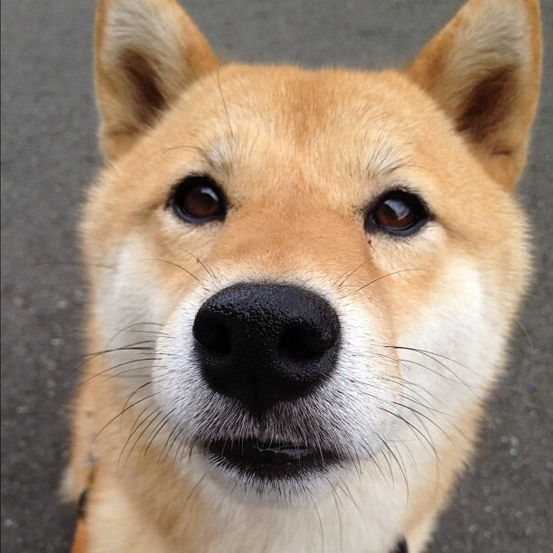 绿茵魔术师,基耶萨燃爆全场,定义那不勒斯的胜利方程式