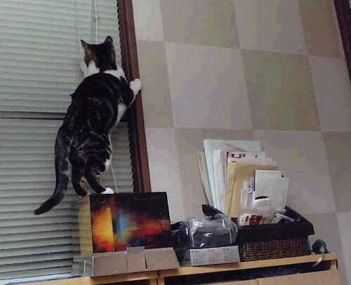 47分封神之战,抢七夜米切尔的孤胆英雄主义如何载入史册